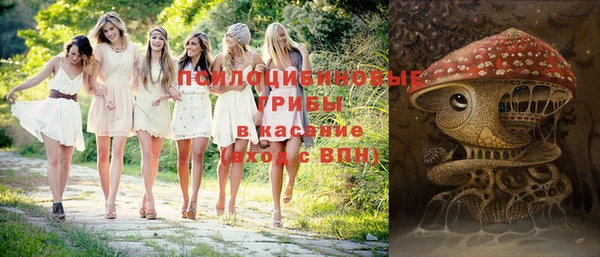 ГАЛЛЮЦИНОГЕННЫЕ ГРИБЫ Алексин