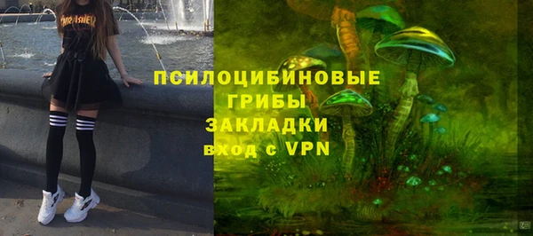 прущие грибы Алексеевка