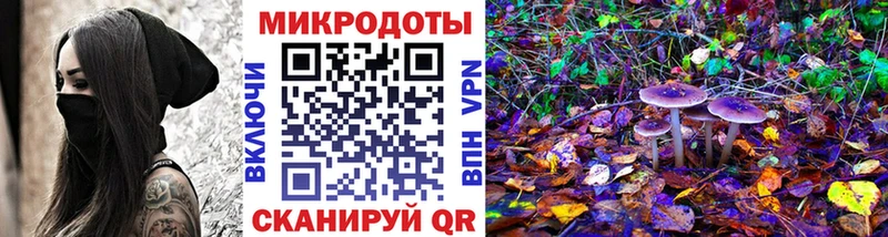 Галлюциногенные грибы Psilocybe  закладка  Аргун 