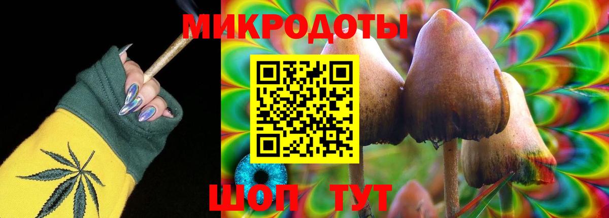 Псилоцибиновые грибы ЛСД Аргун