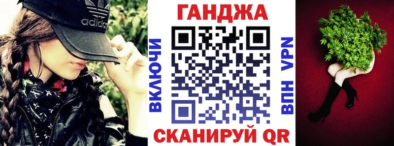Канабис сатива  закладка  Аргун 